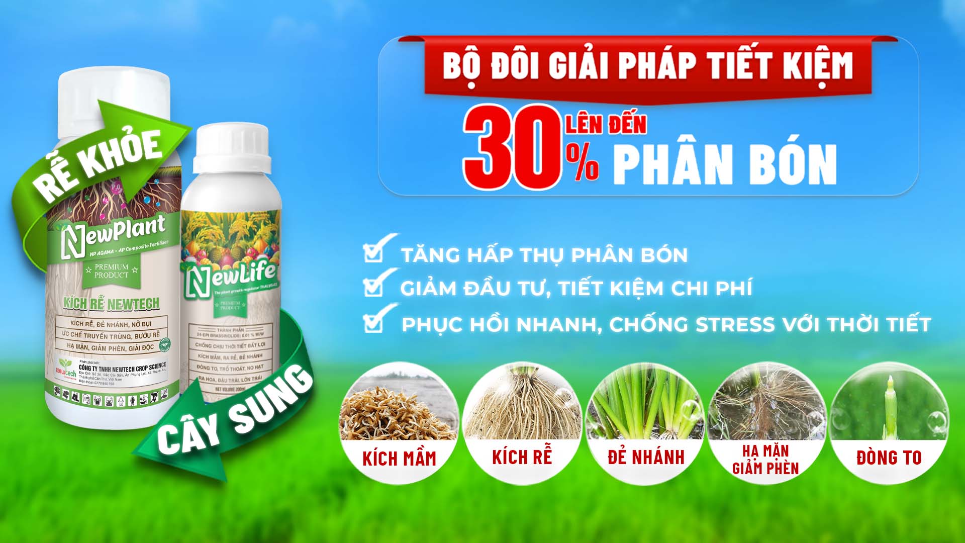 cover plant life web fhd