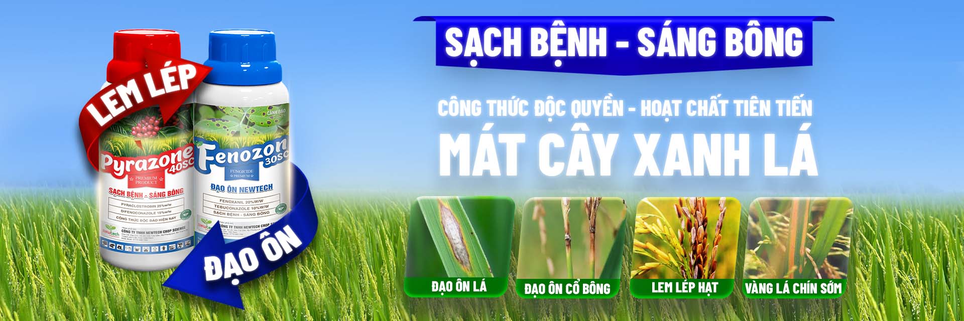 cover web feno pyra