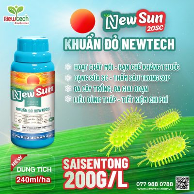 Giải pháp quản lý bệnh cháy bìa lá 