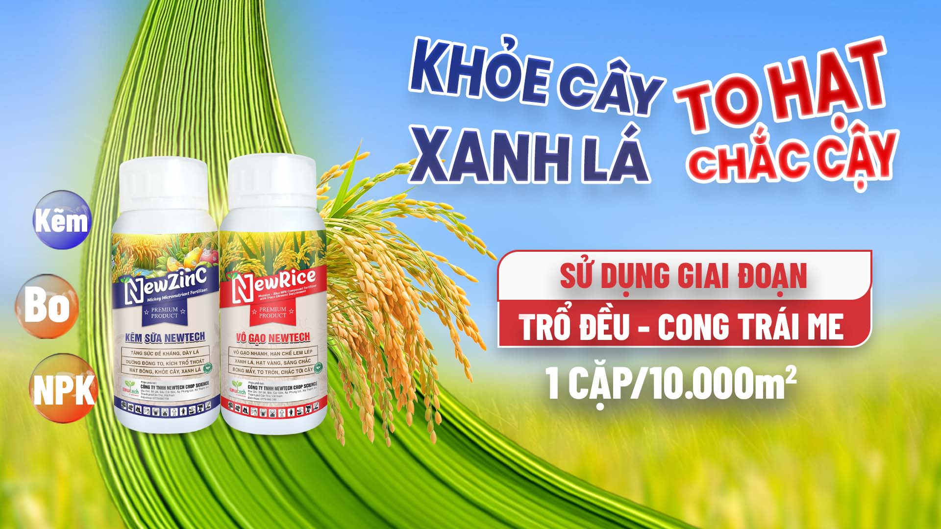 cover RICE KEM web fhd