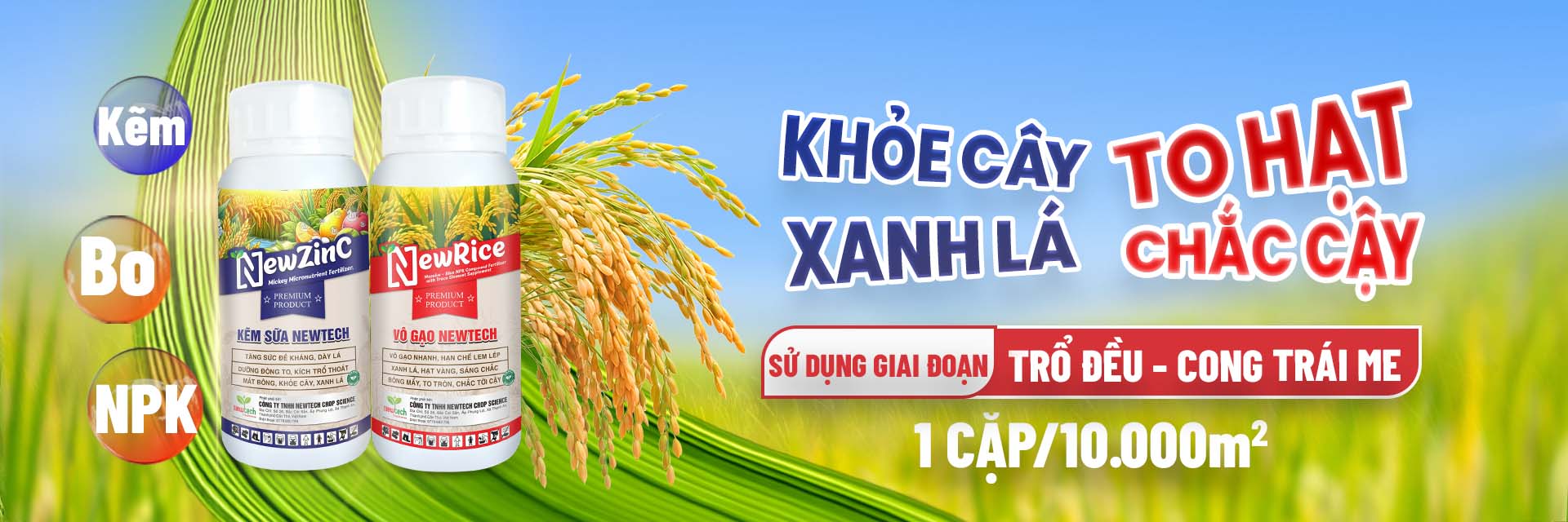 cover web RICE KEM